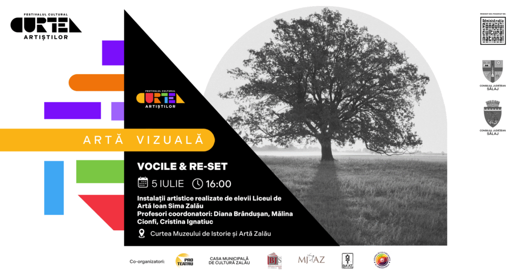 Fotografie din VERNISAJ: VOCILE & RE-SET