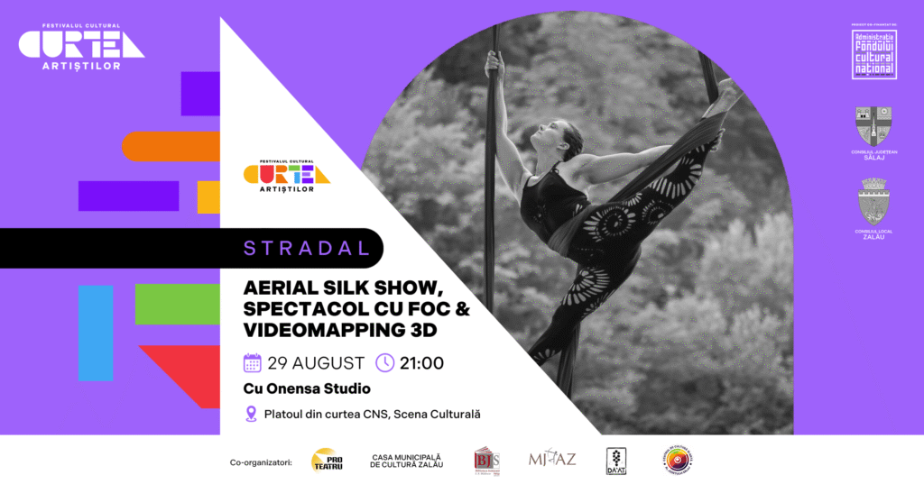 Fotografie din STRADAL: AERIAL SILK SHOW, SPECTACOL CU FOC ȘI VIDEOMAPPING 3D