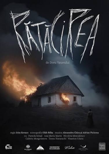 Afișul spectacolului Rătăcirea